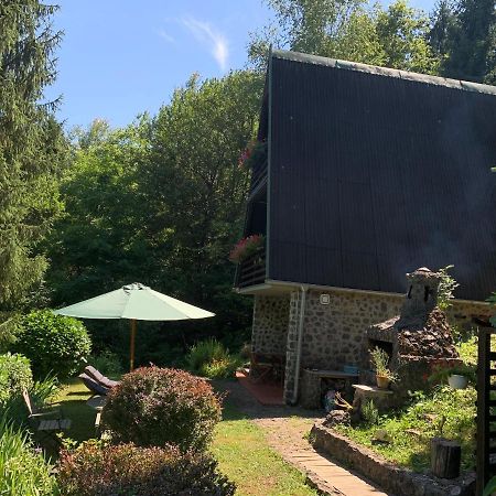 Holiday Home Dragonfly River House On Korana Near Plitvice And Mreznica Barilovic Extérieur photo