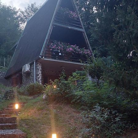 Holiday Home Dragonfly River House On Korana Near Plitvice And Mreznica Barilovic Extérieur photo