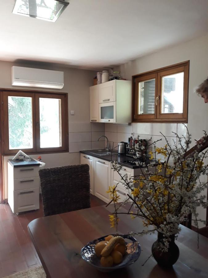 Holiday Home Dragonfly River House On Korana Near Plitvice And Mreznica Barilovic Extérieur photo