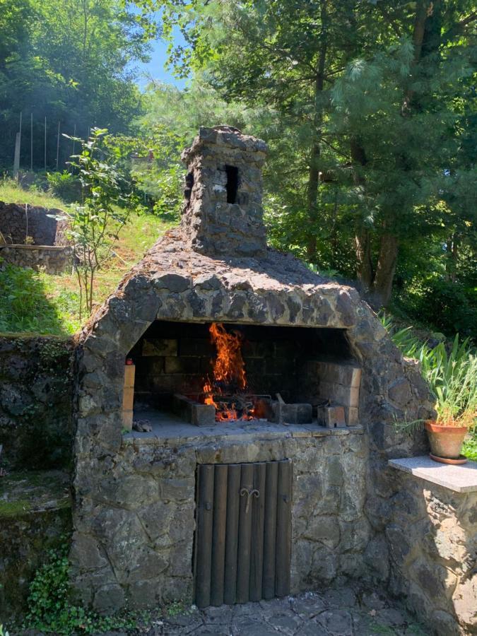 Holiday Home Dragonfly River House On Korana Near Plitvice And Mreznica Barilovic Extérieur photo